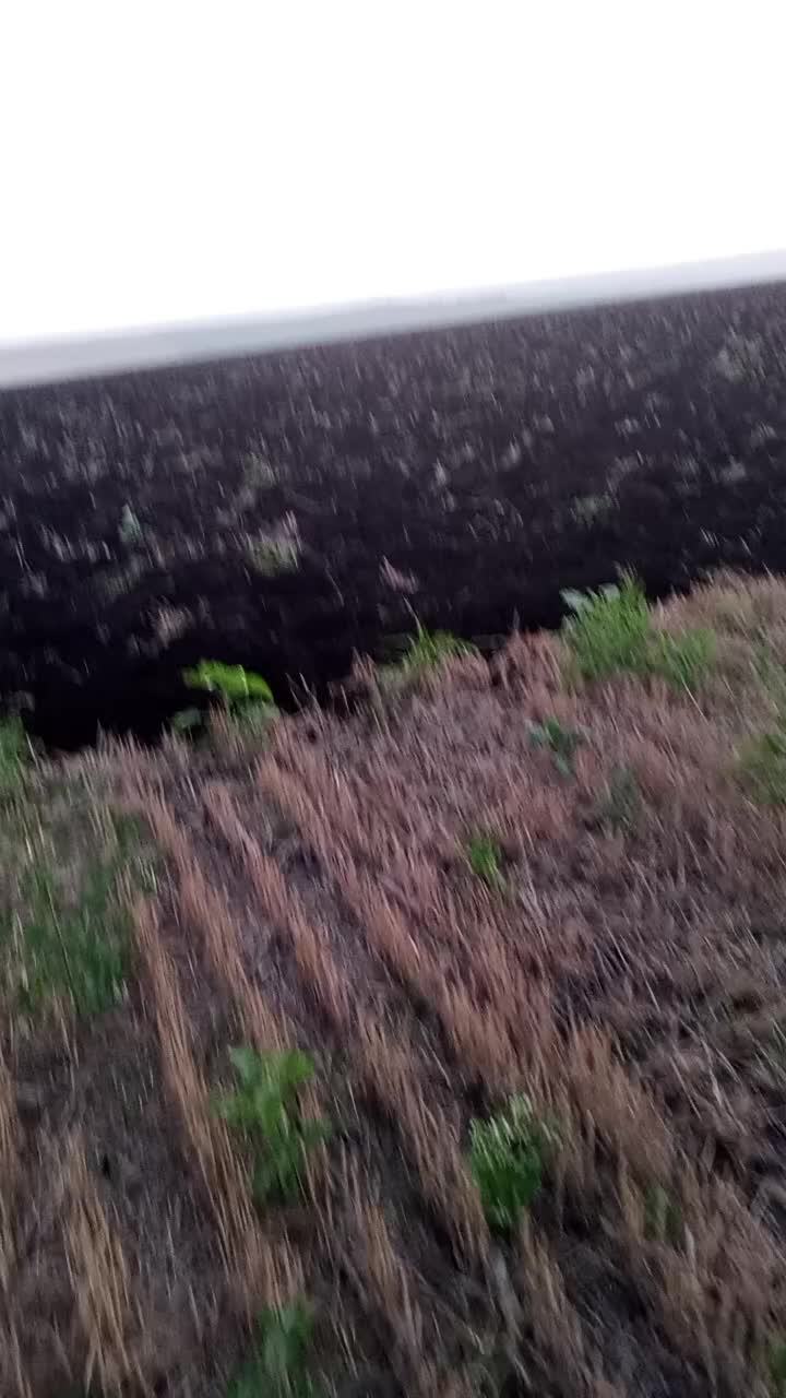 @килька