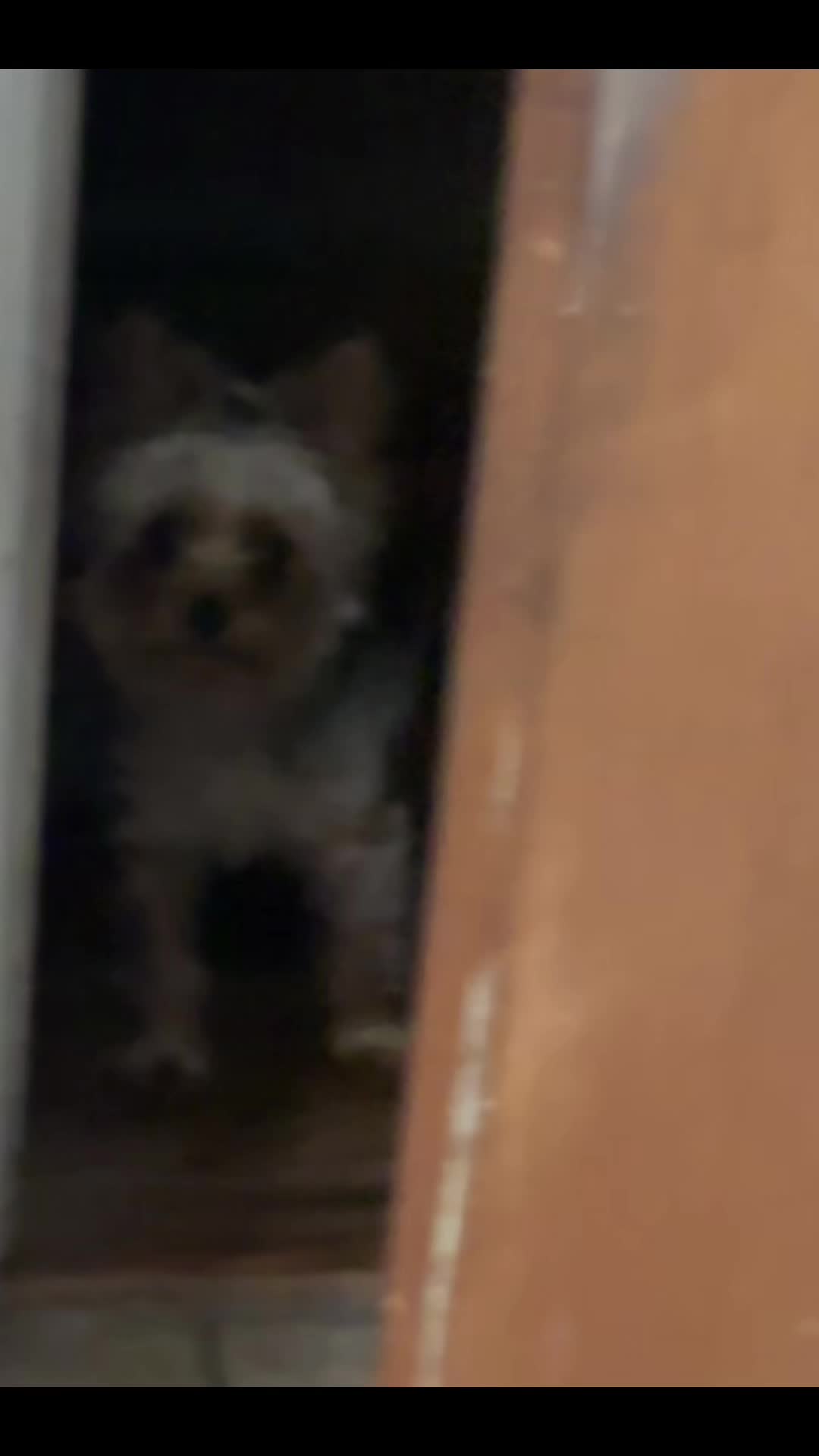 @Ginniegirl❤️