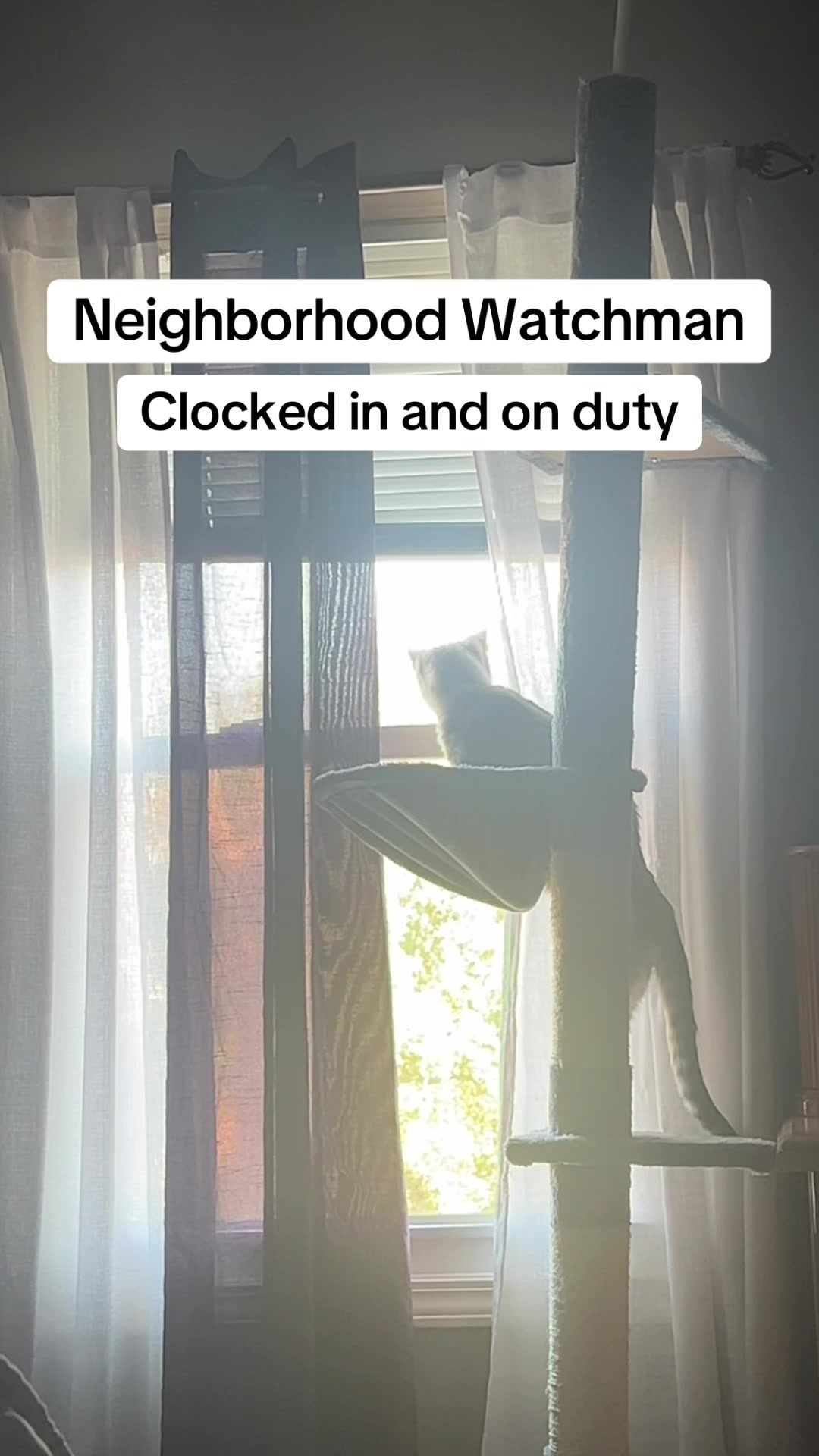 @gus.omatic