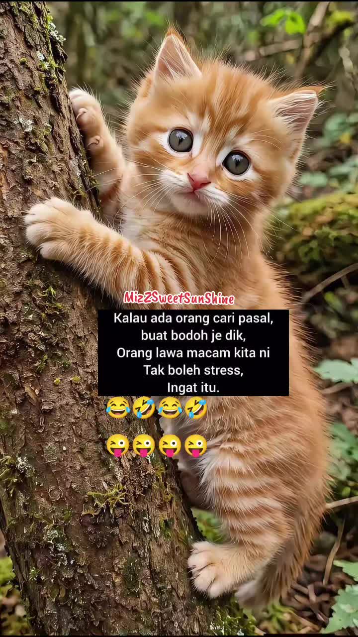 @🌹🕊️SweetSunShine🕊️🌹