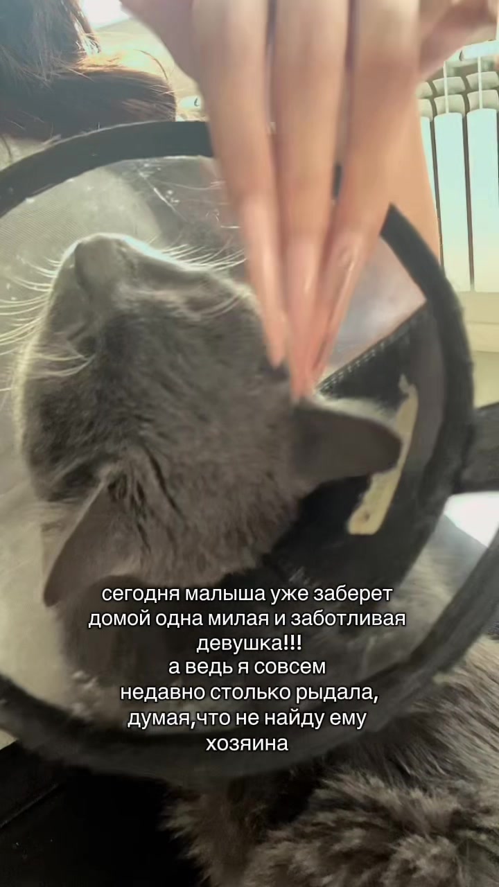 @BERTRAM СЕРЖАНТ