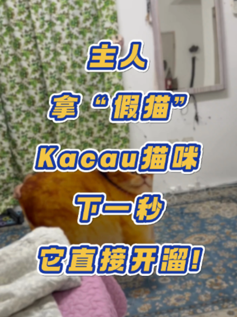 @noodoumy