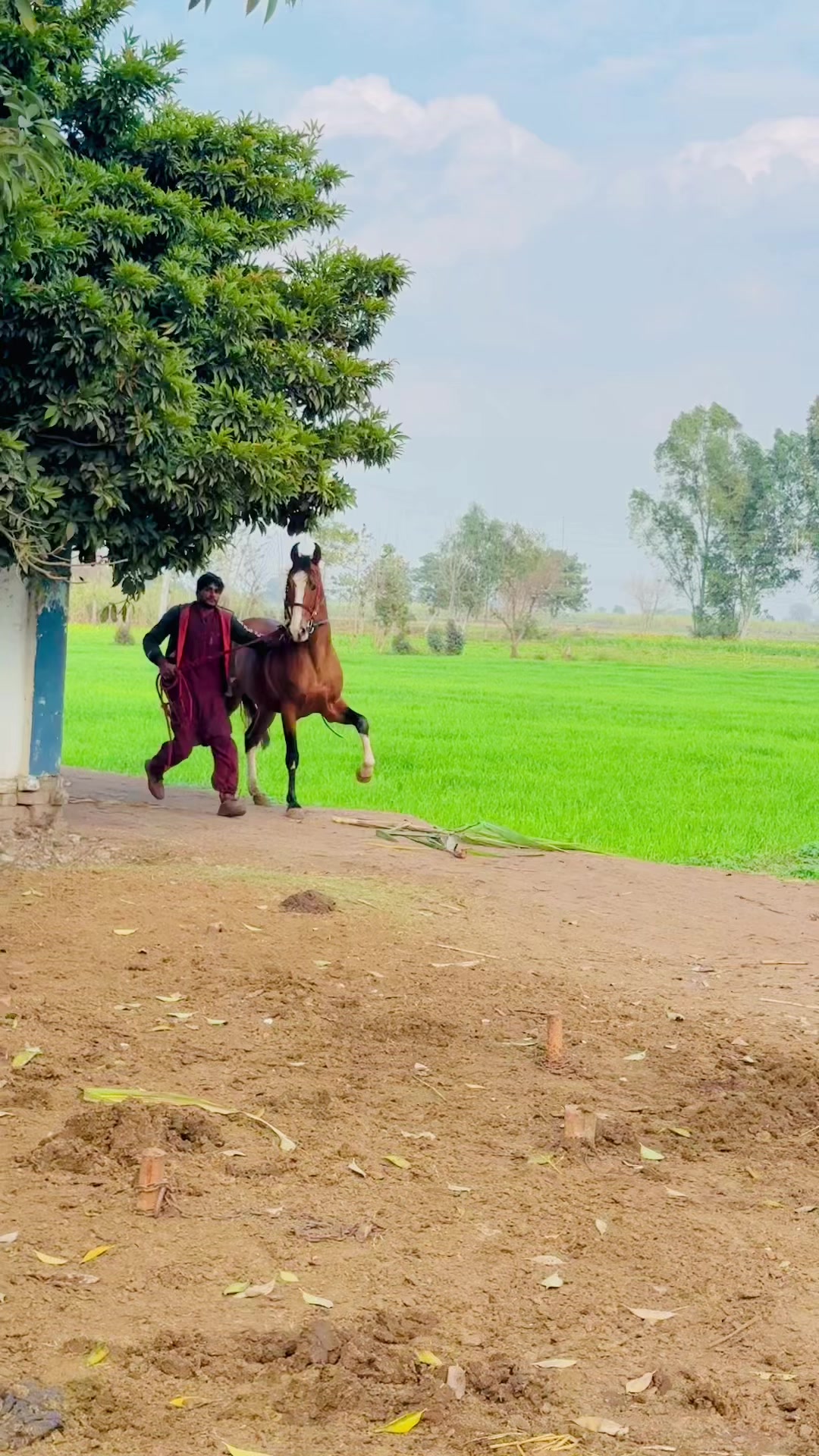 @chalirazagujjar005
