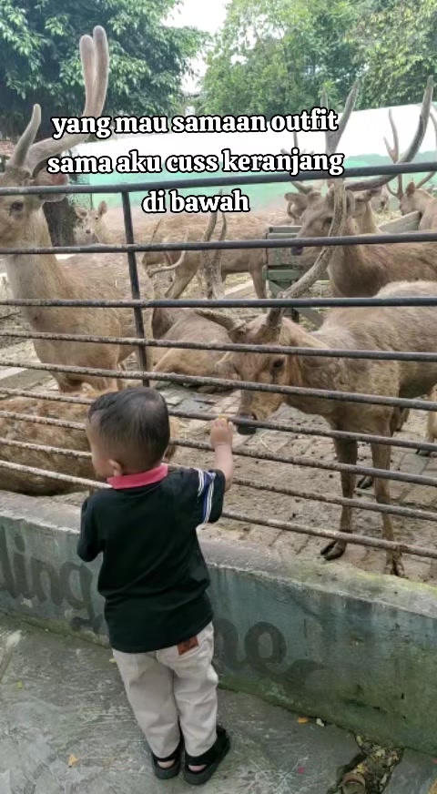 @sindi fatmala