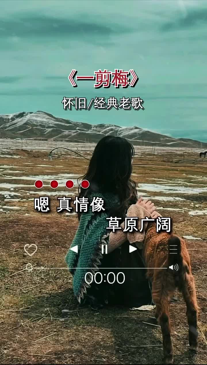@美丽的世界
