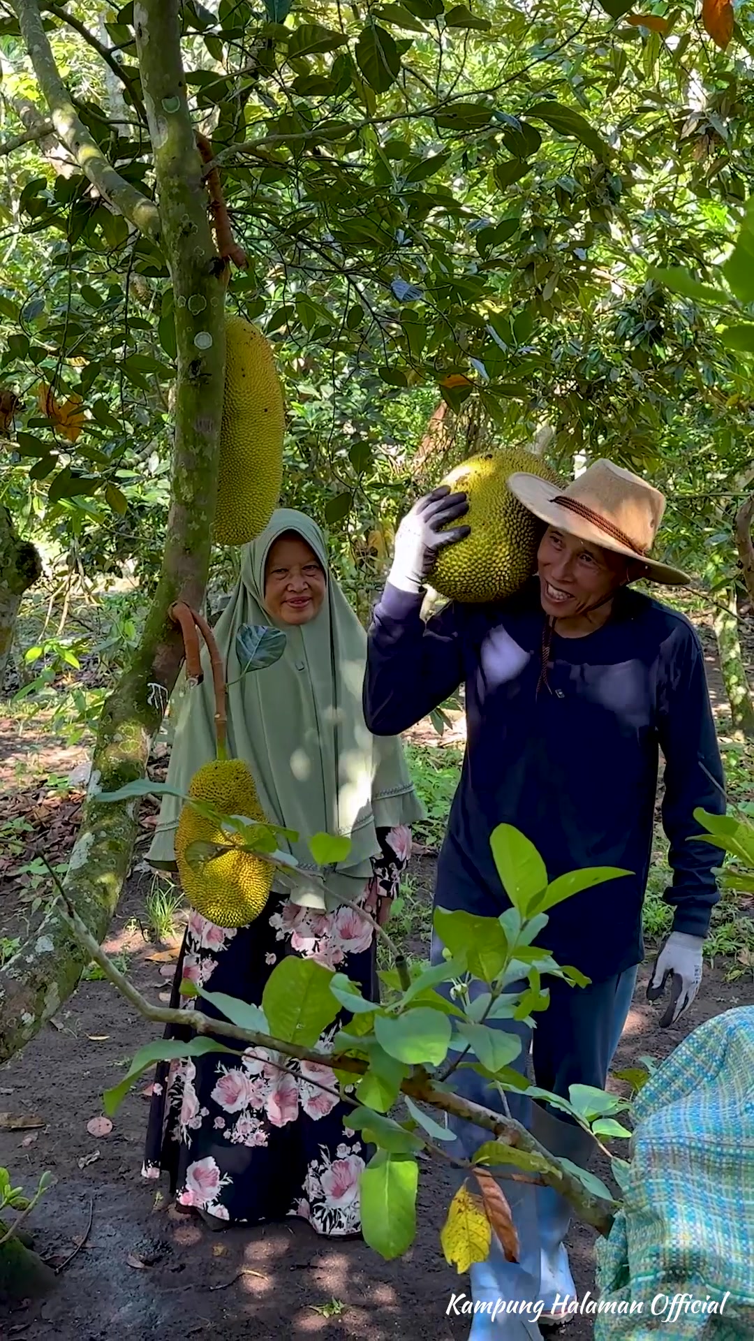 @Kampung Halaman Official