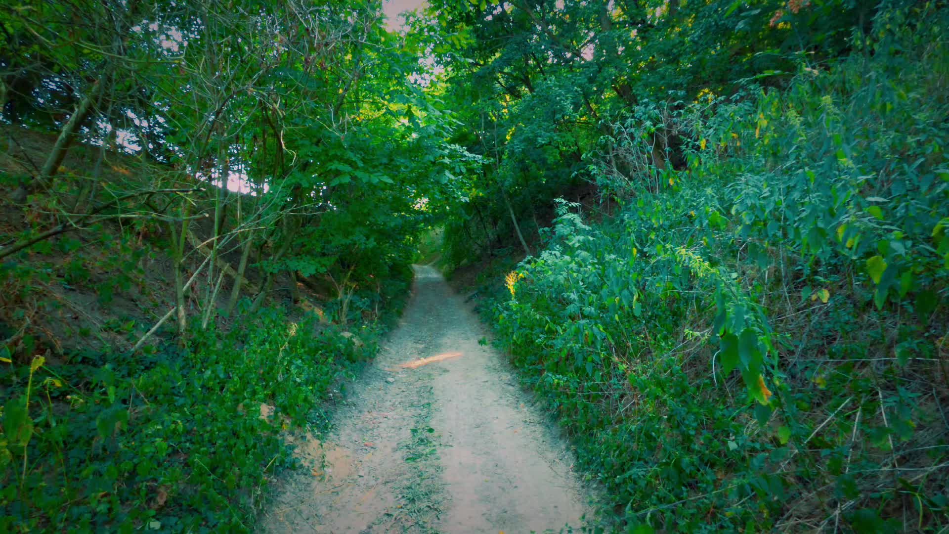 @ঔৣ✞★𝐁ĕ𝐦𝐛įĸő_𝐌𝐚𝐥𝐢&yuml;★✞ঔৣ