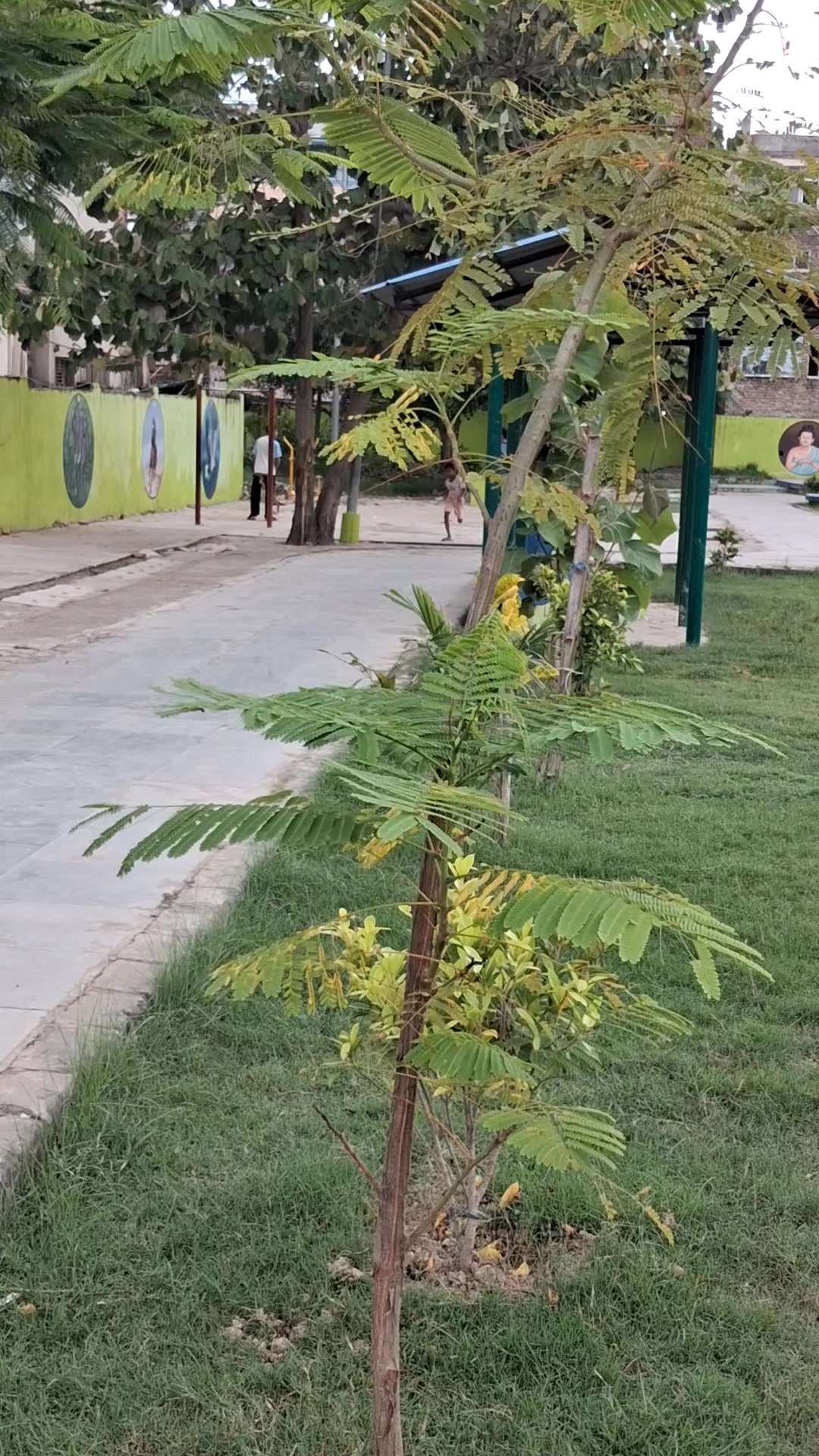 @shah archana