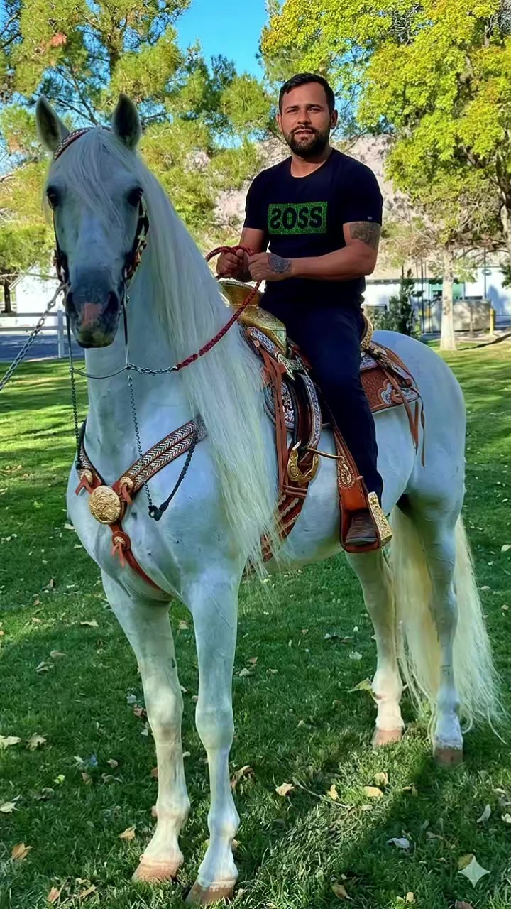 @Márcio greyck