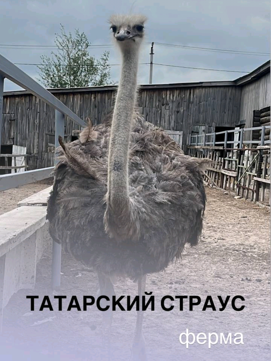 @ТАТАРСТАН &brvbar;  что посмотреть