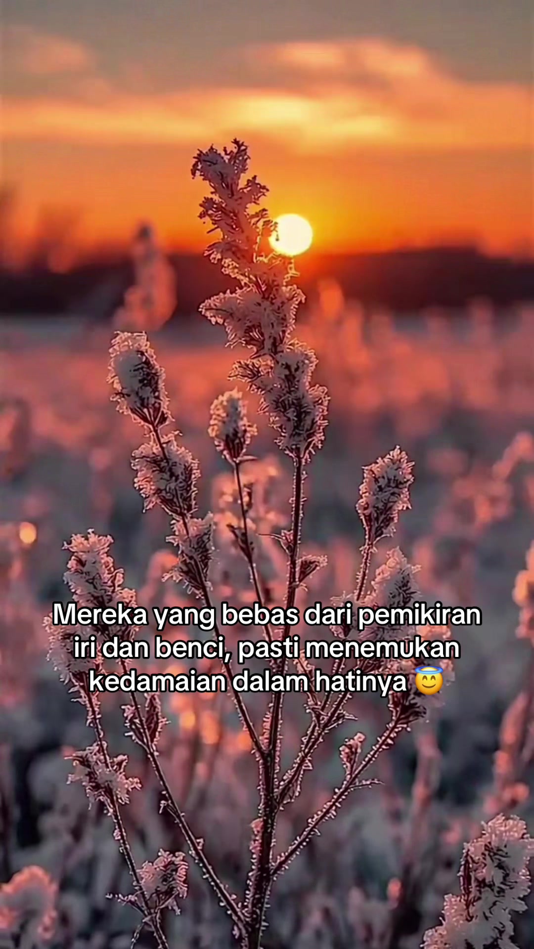 @๐ฟAisy๐
