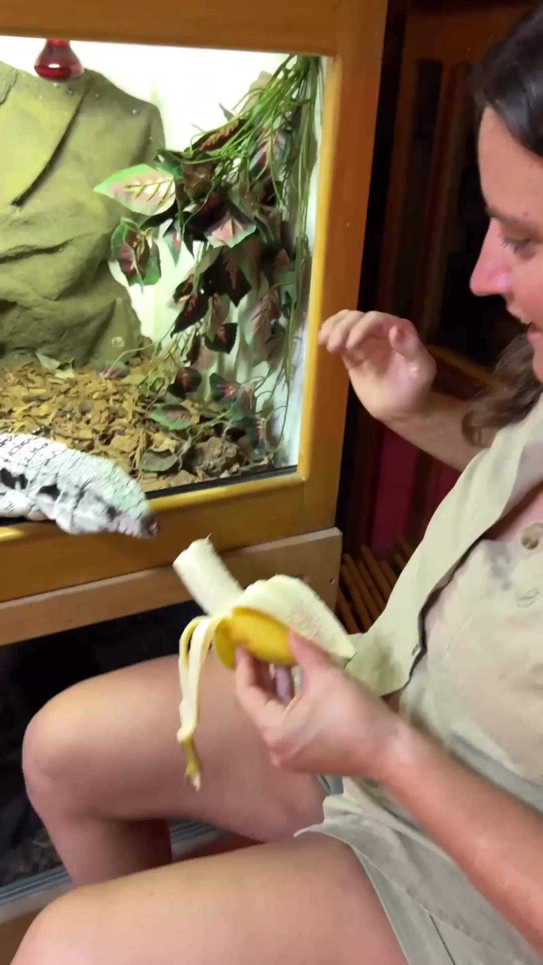 @The Reptile Zoo