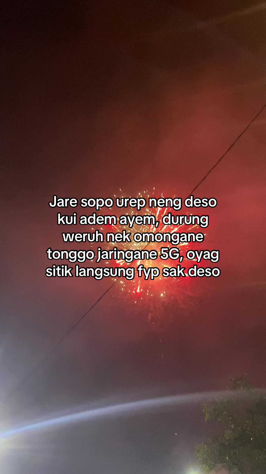 @Tempe QINNAN