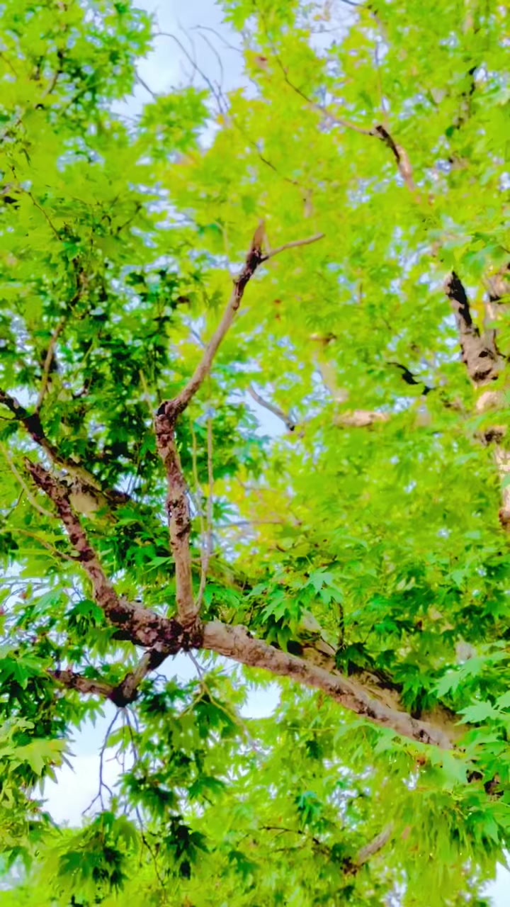 @🦅Abbas khan 711 🦅