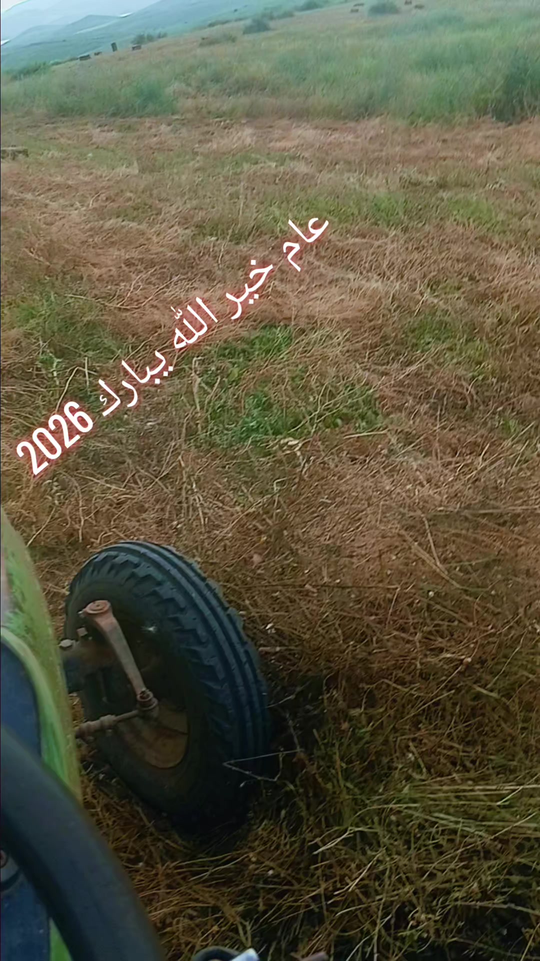 @Îlŷés Ben Abed