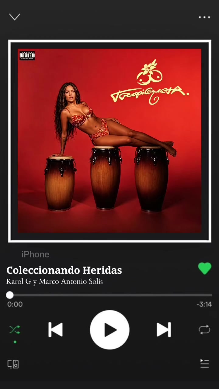 @La Coleccionista De Canciones