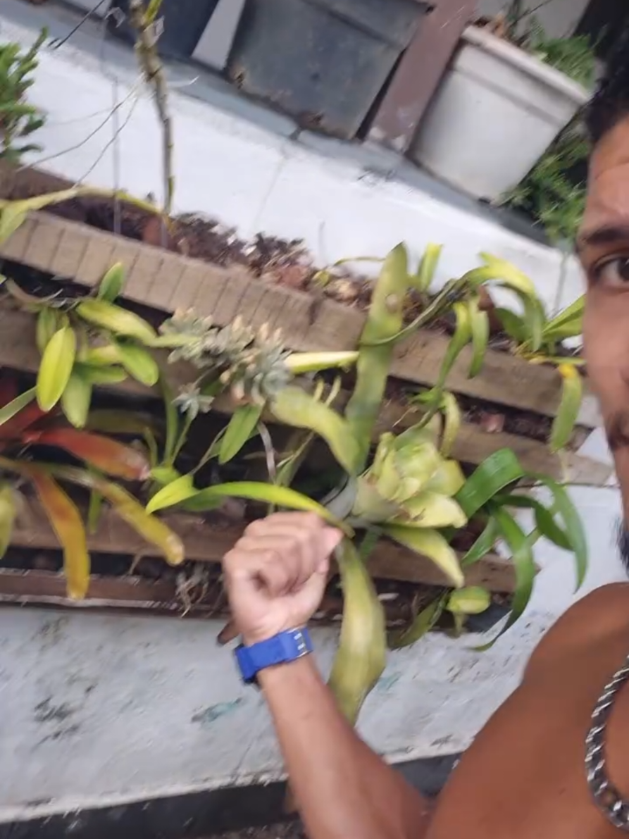 @VittorSousaXXX