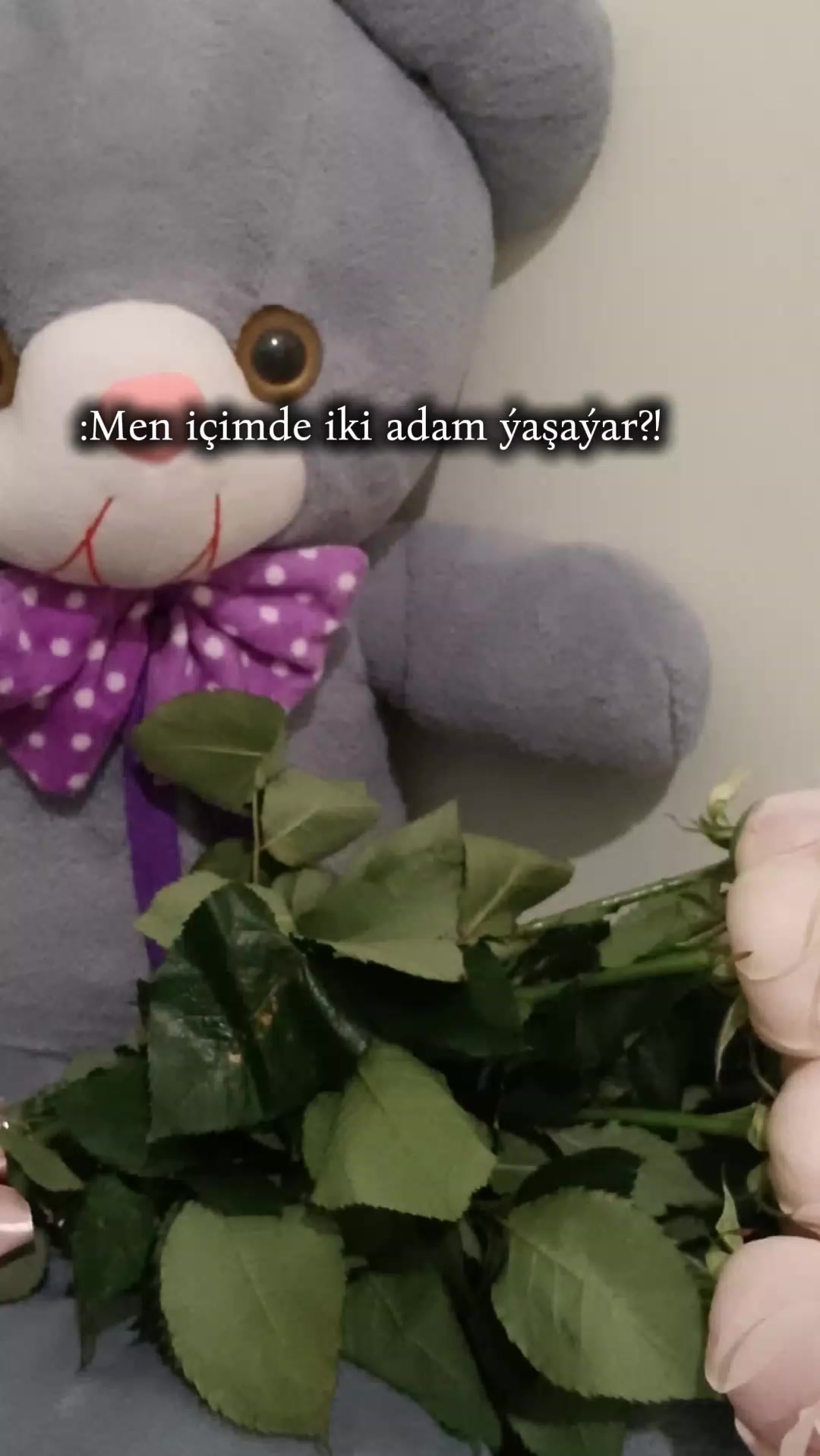 @e_va✨