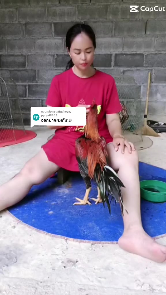 @น้องkik...ผู้หญิงชอบไก่ชน🐓