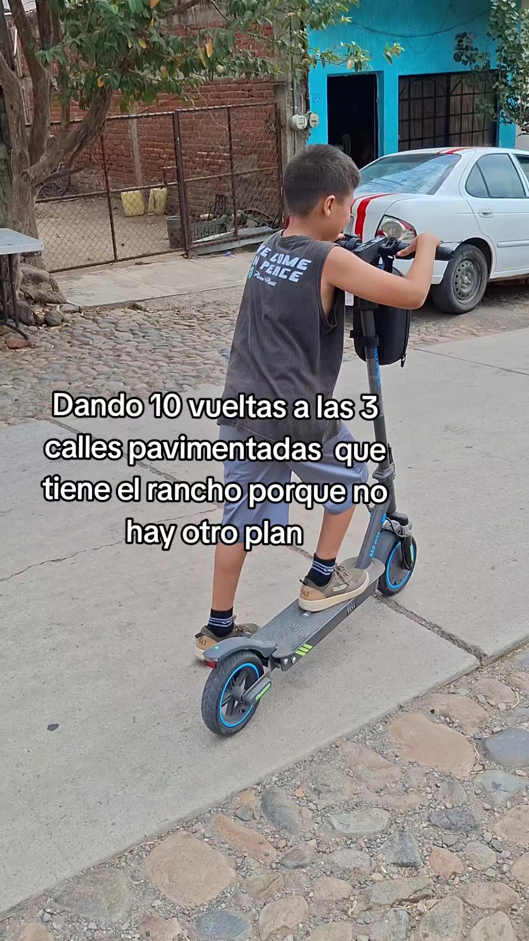@Luz Llamas