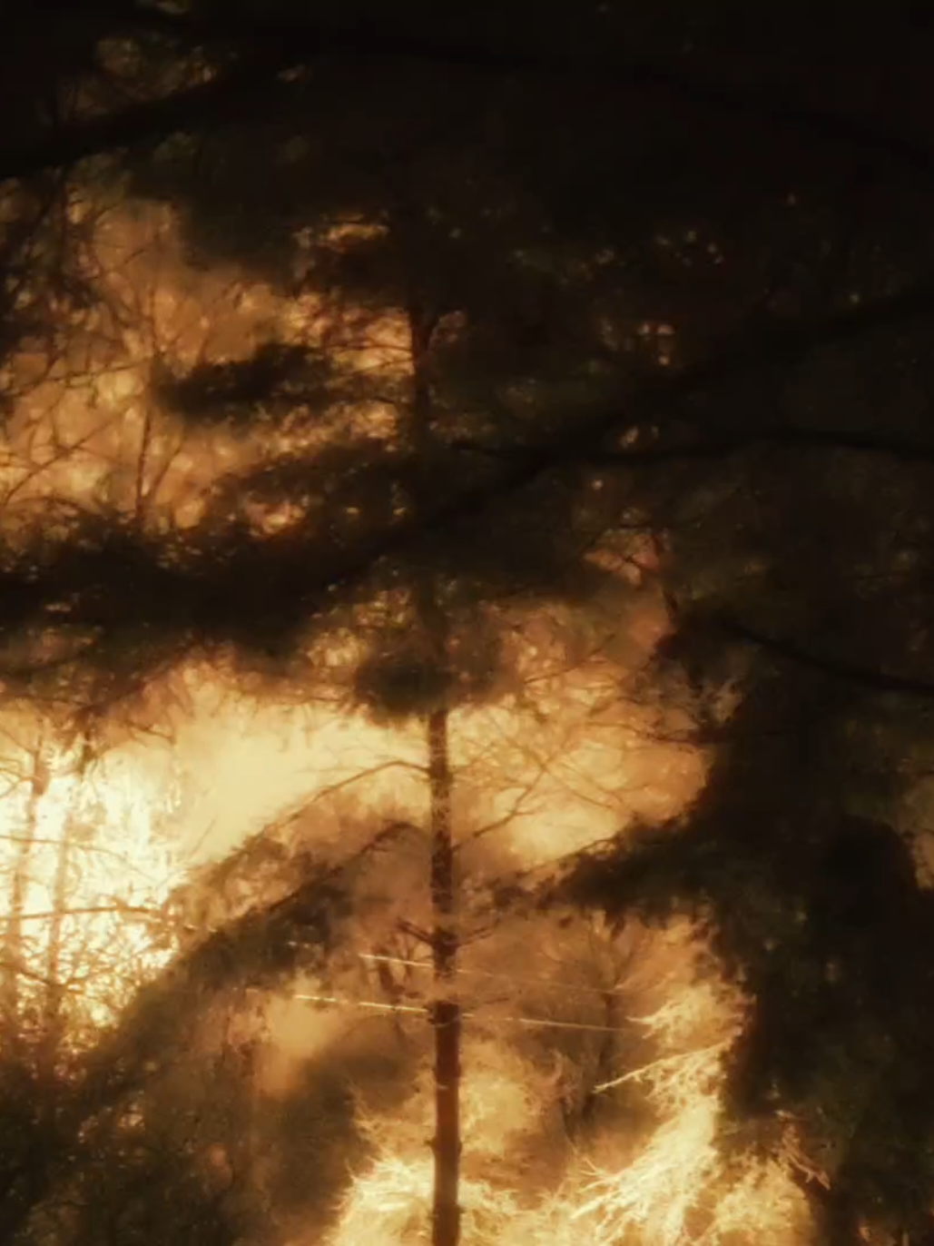 @sayonara,clannad