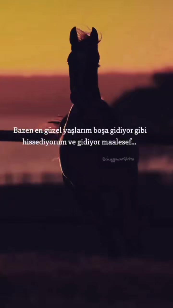 @Reyhan &ccedil;aKır🥀