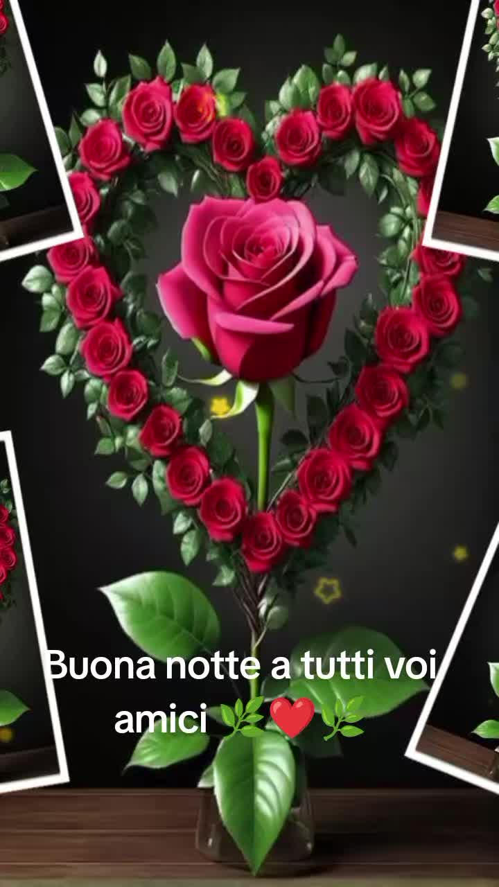 @Antonina Giardina
