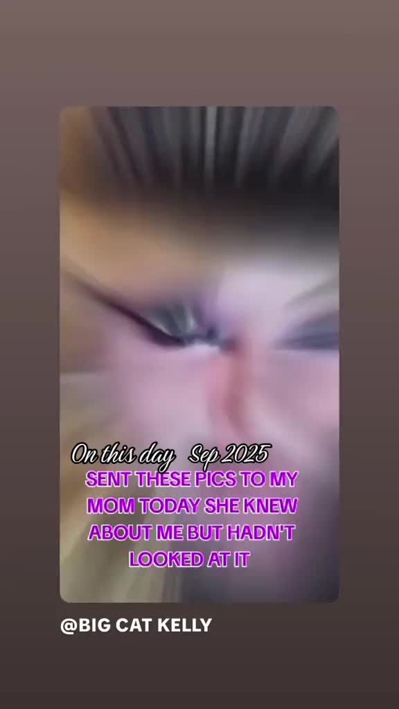 @BIG CAT KELLY2.0BACKUP&diams;️