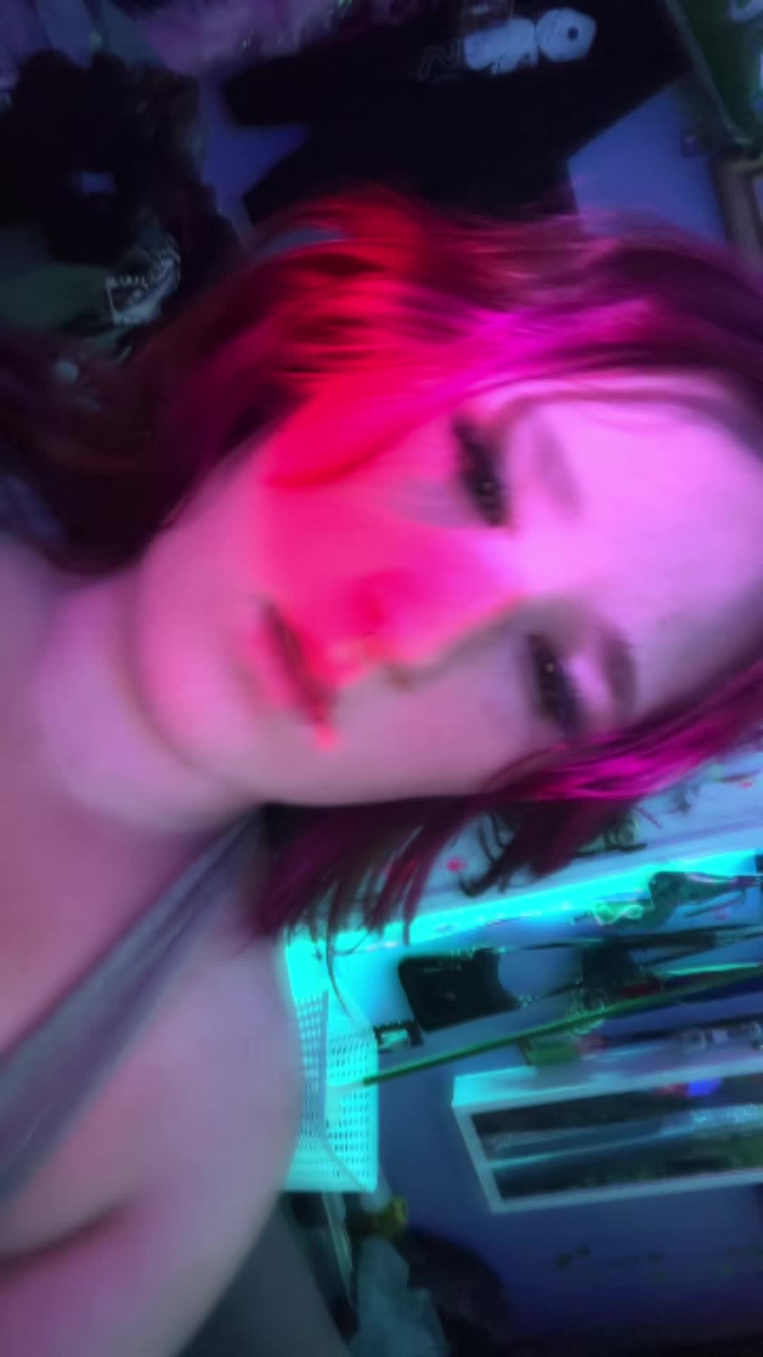 @meow_meow_meow277
