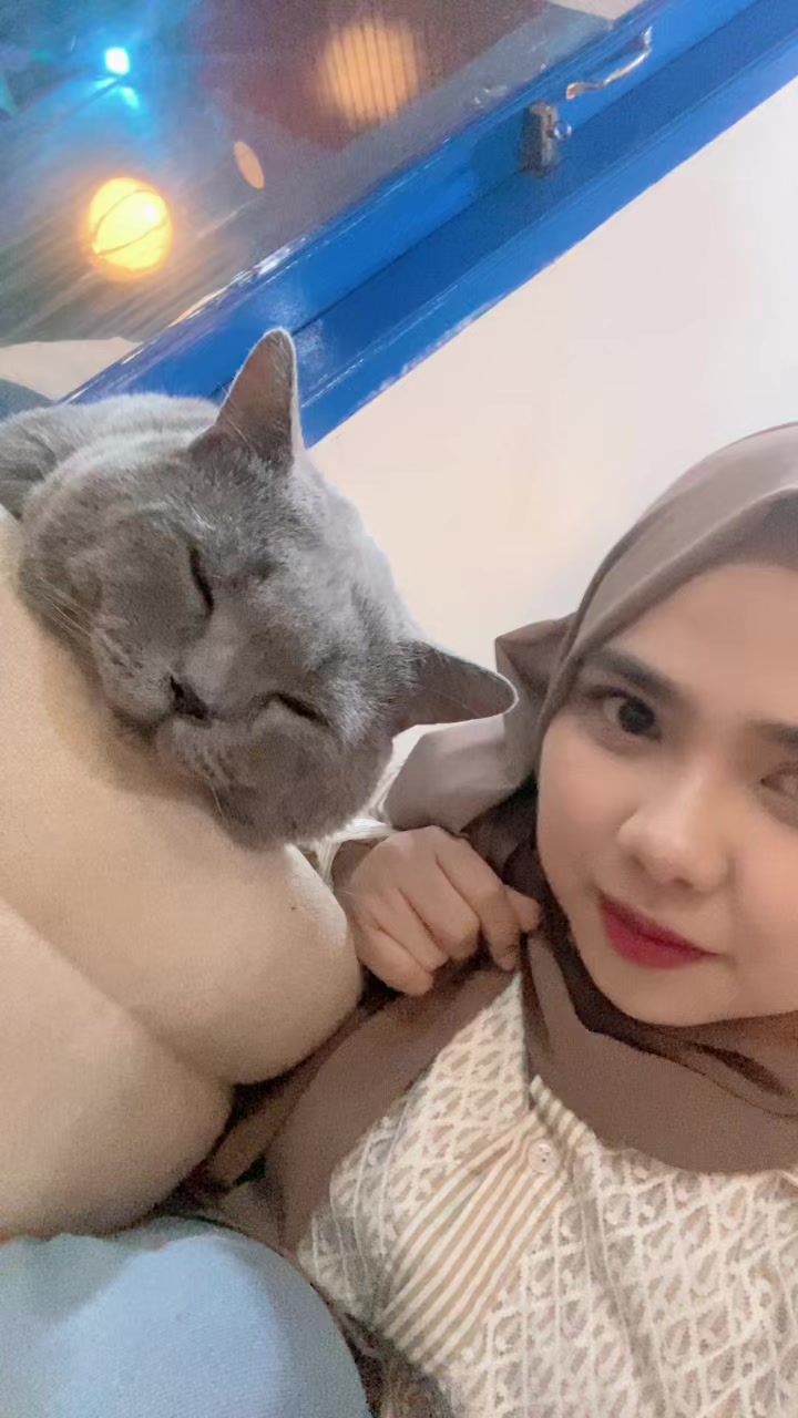 @harnisalsa30