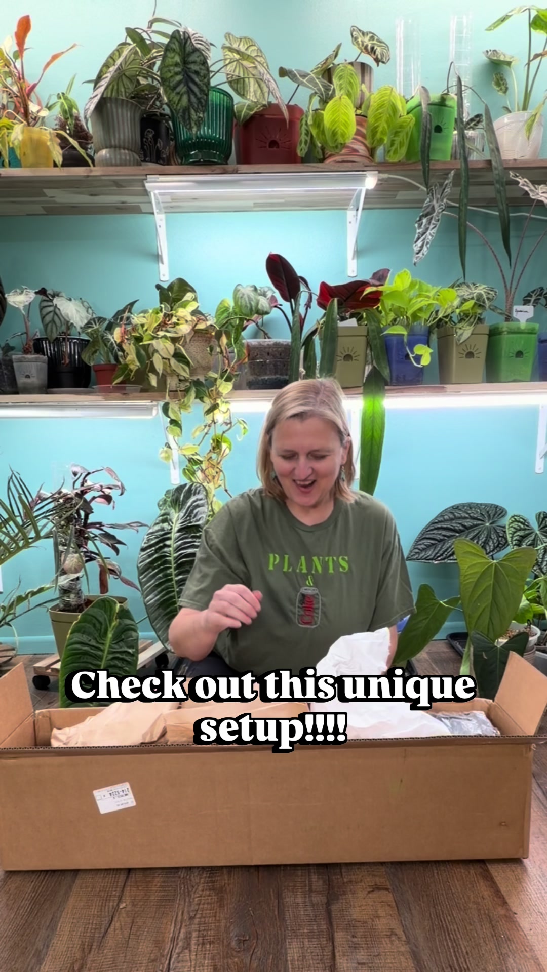 @Pothosiblyaboutplants