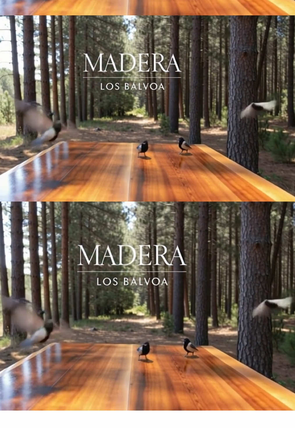 @Maderas Los Balvoa