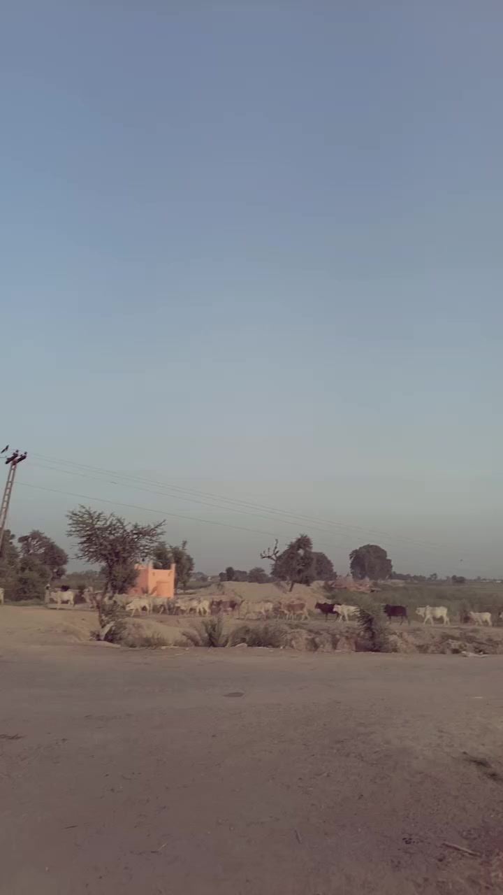 @Abdul RehmanMughal