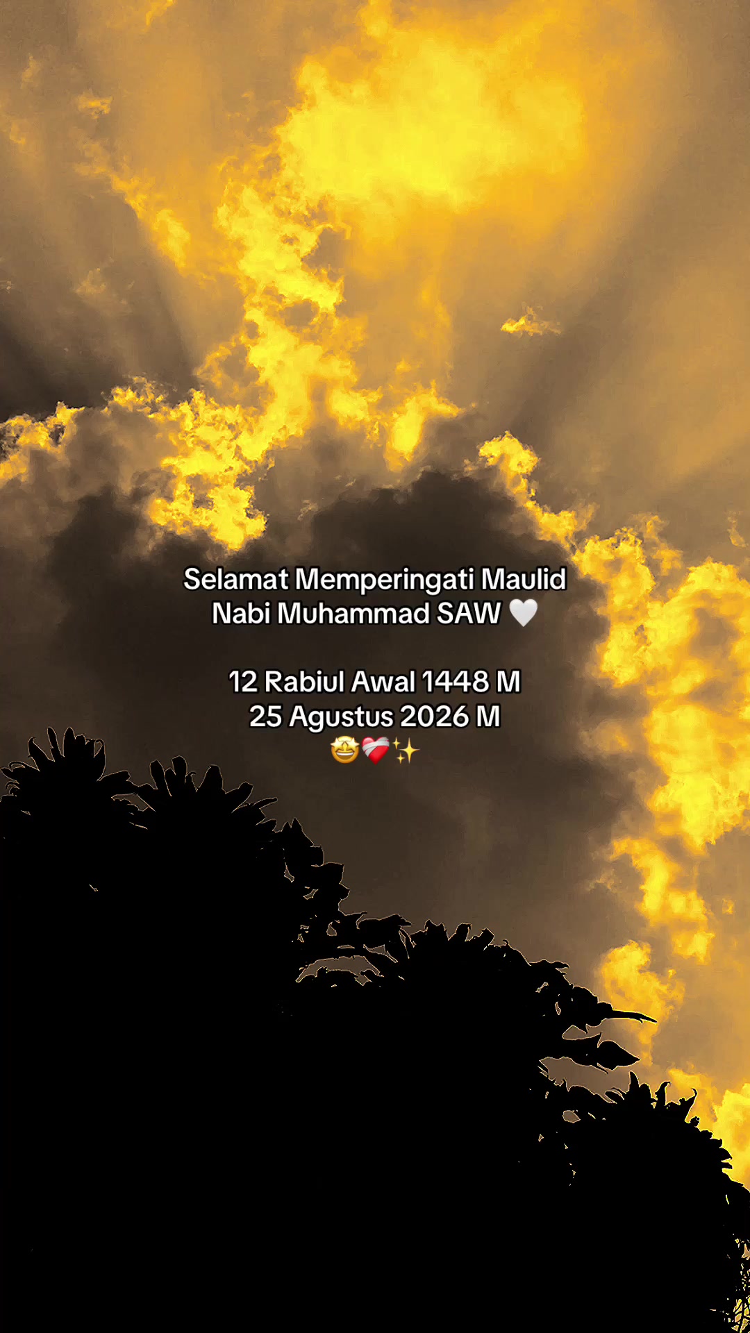 @✎ᝰ. ﮼شفاءت
