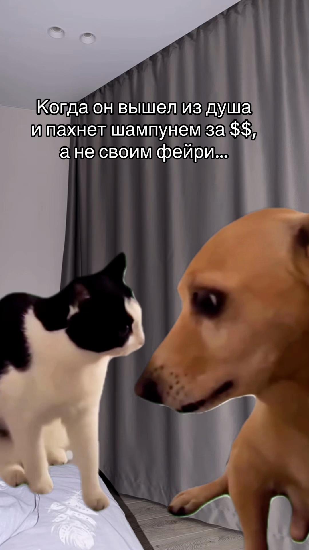 @_Viktorija_Kuzmich_