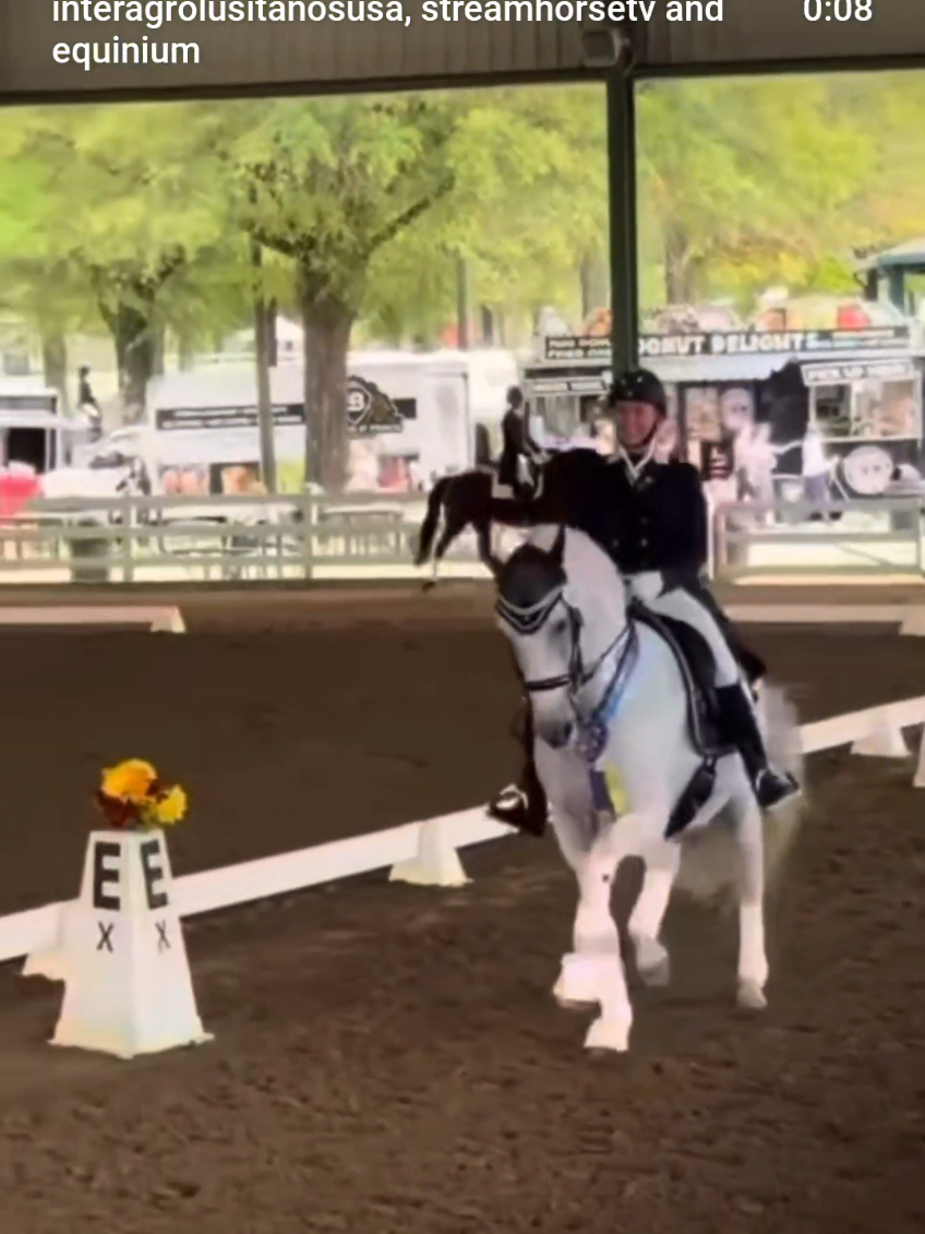 @streamhorse