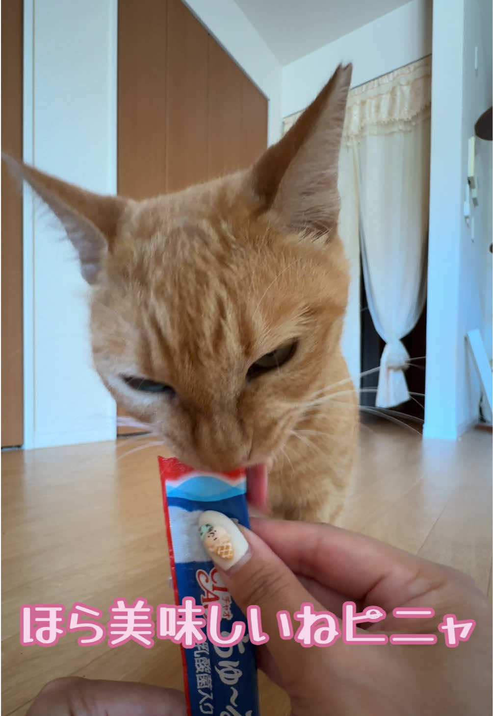 @さっことおちょ