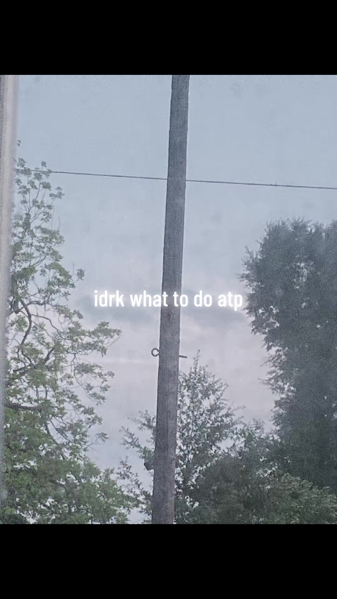 @ellie