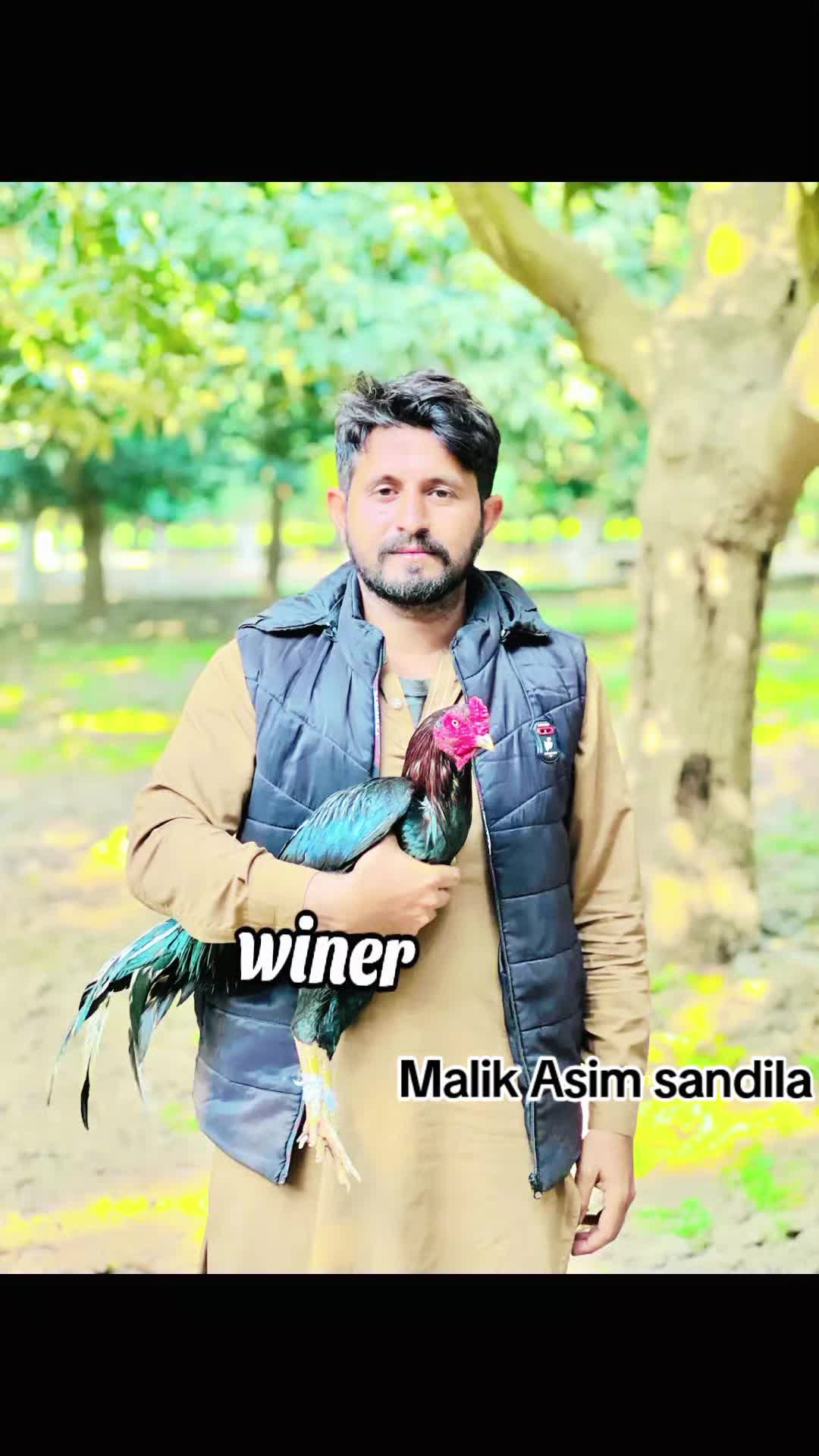 @ملک عاصم سندیلہ