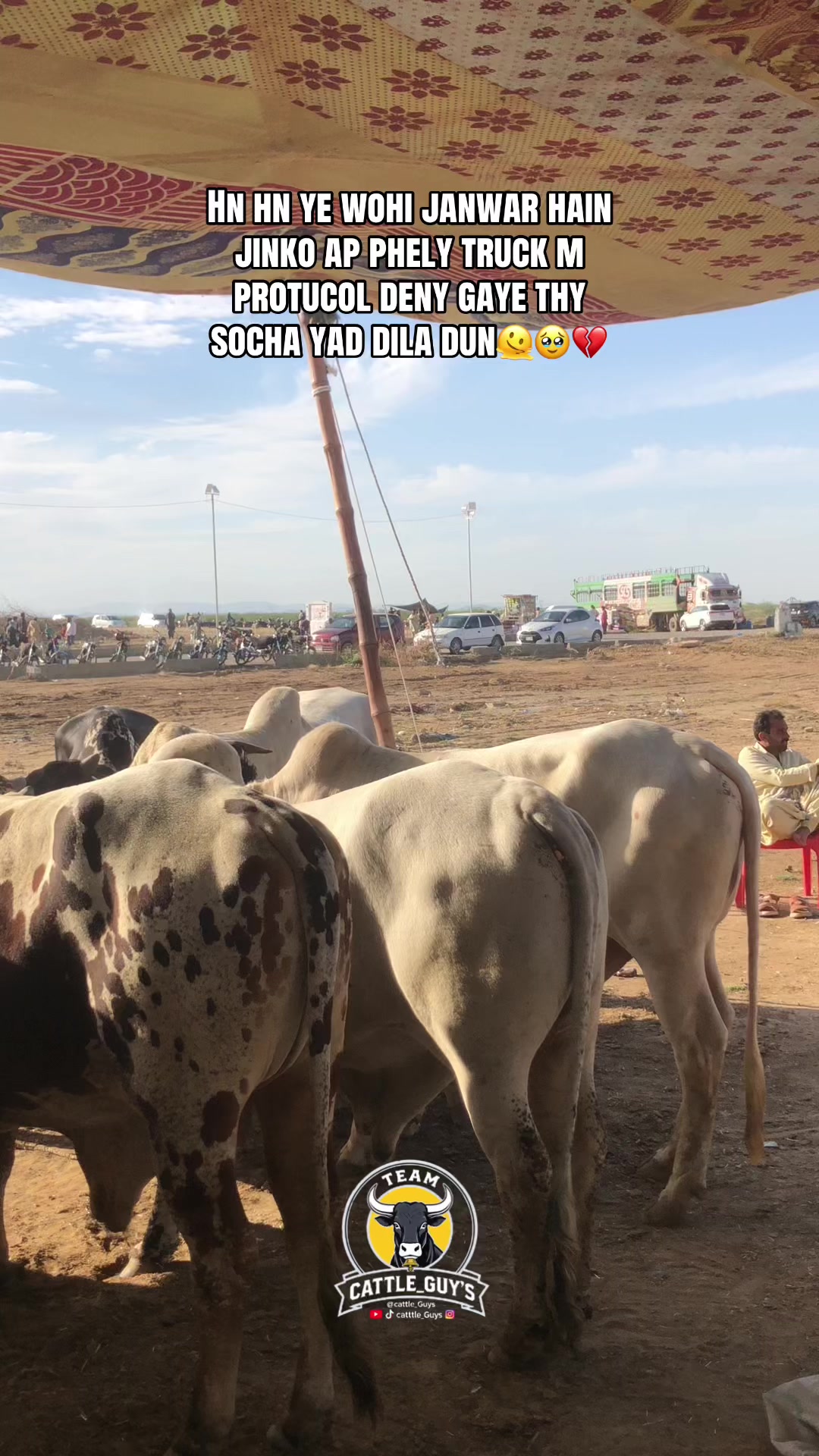 @Cattle_Guy&rsquo;s