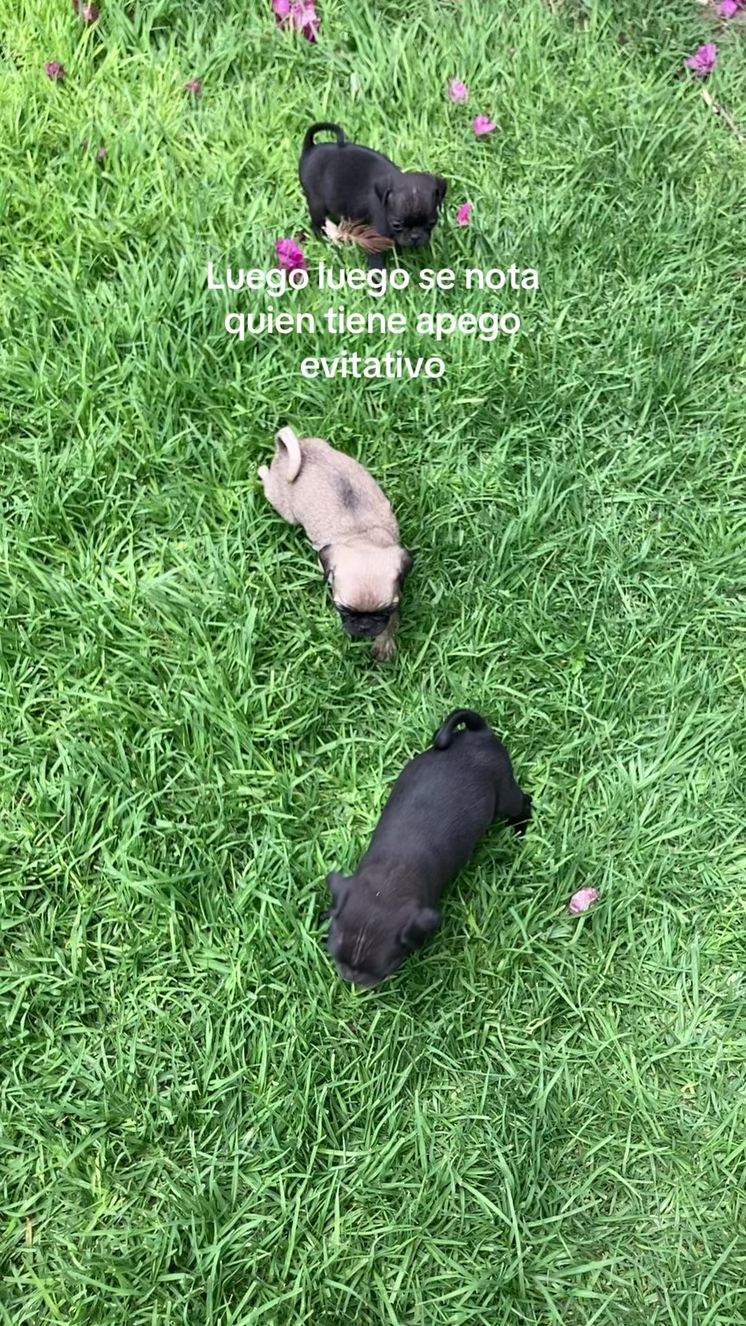 @xxmeeyyy