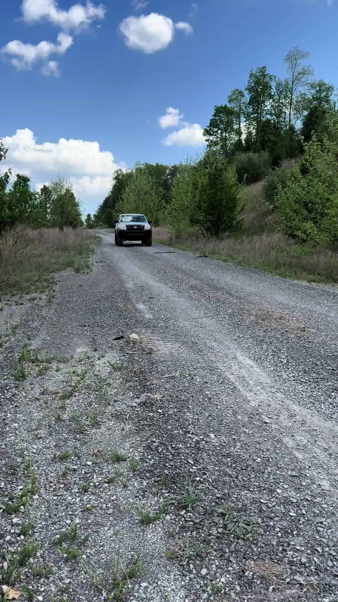 @that_grey_taco
