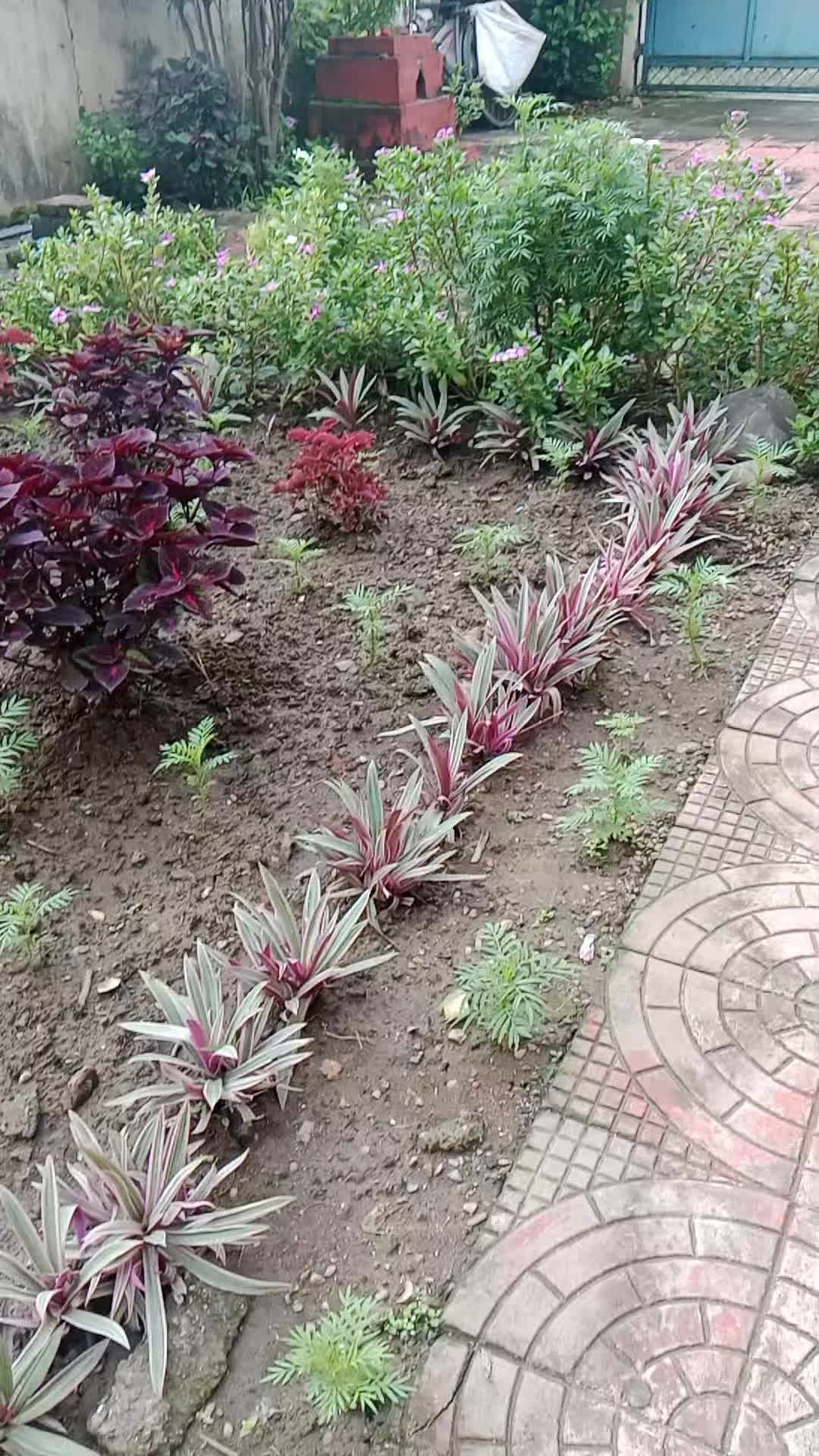 @राधा आचार्य