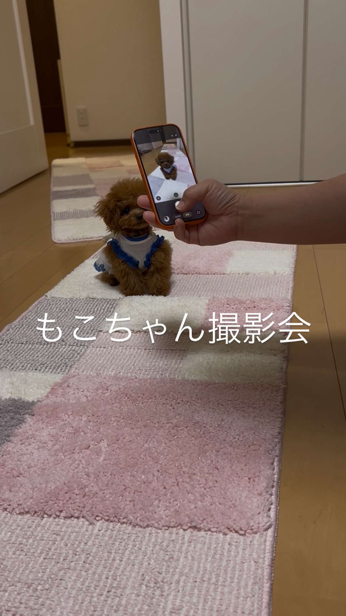 @もこ