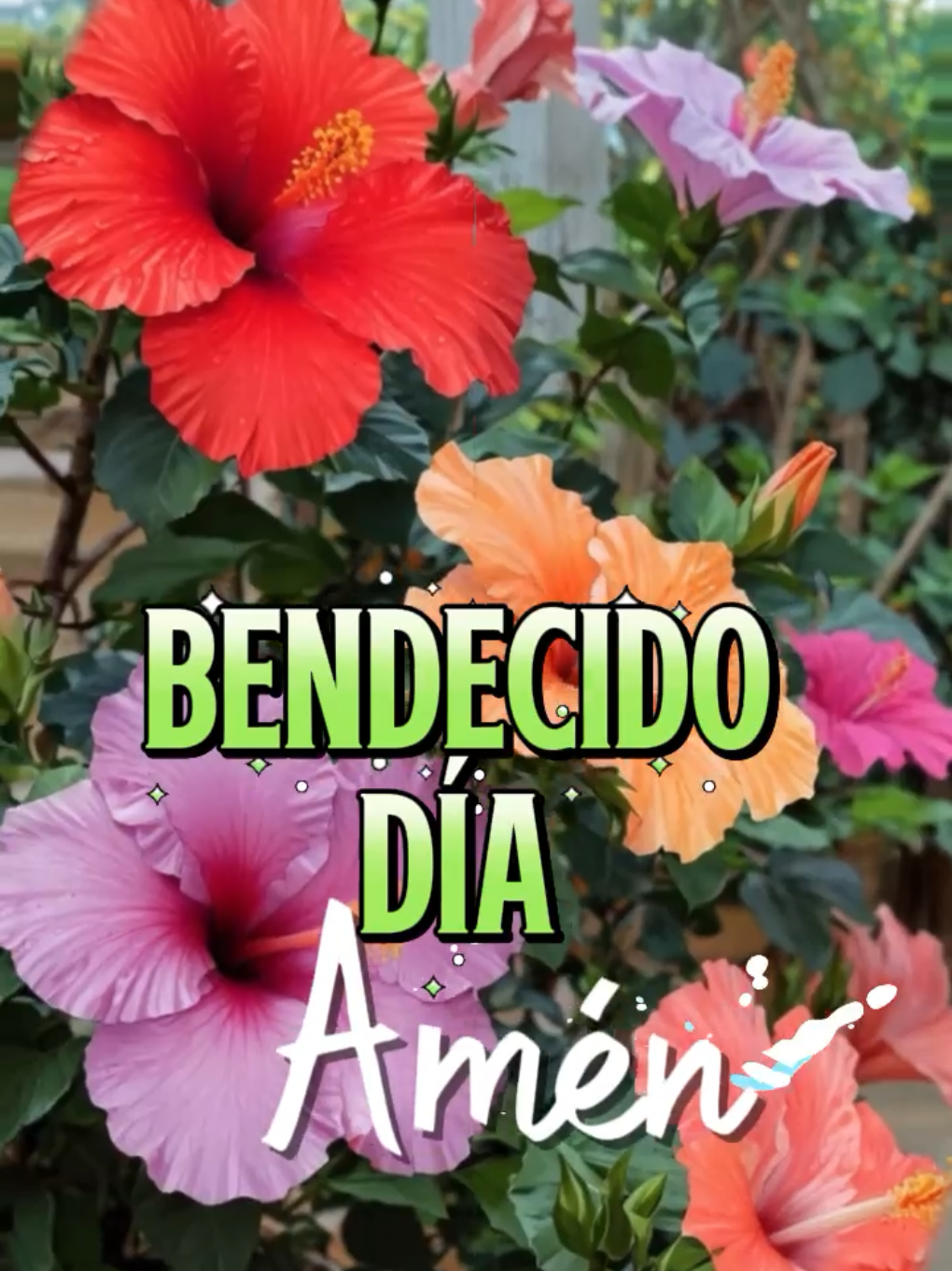 @Arely Mendoza Frases bonitas