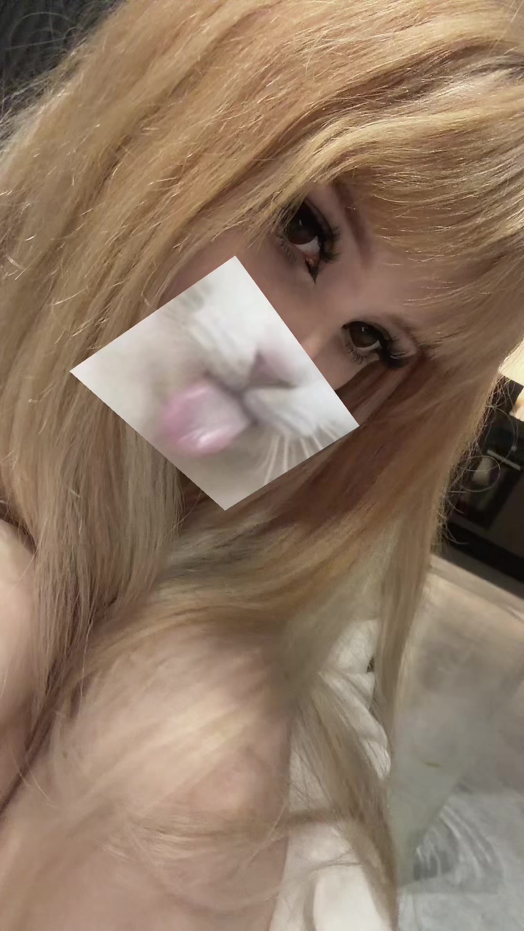 @curigato