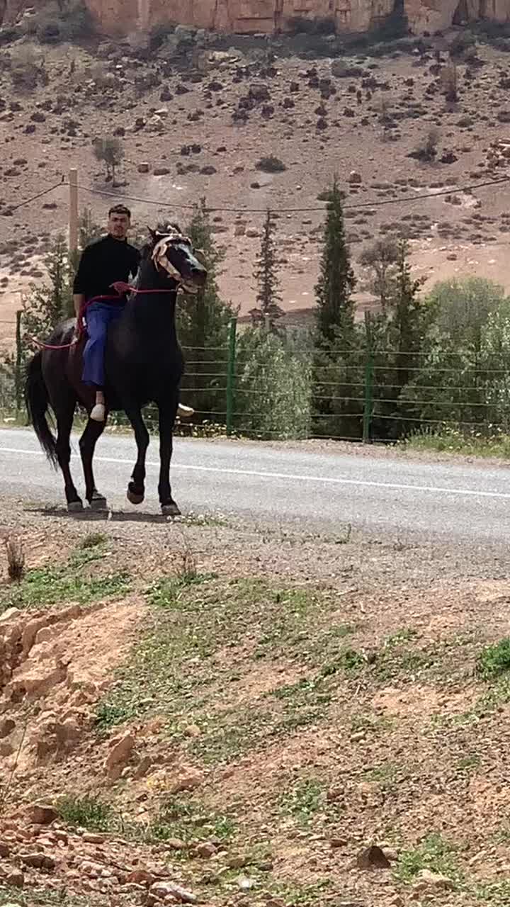 @mhiyaoui.48