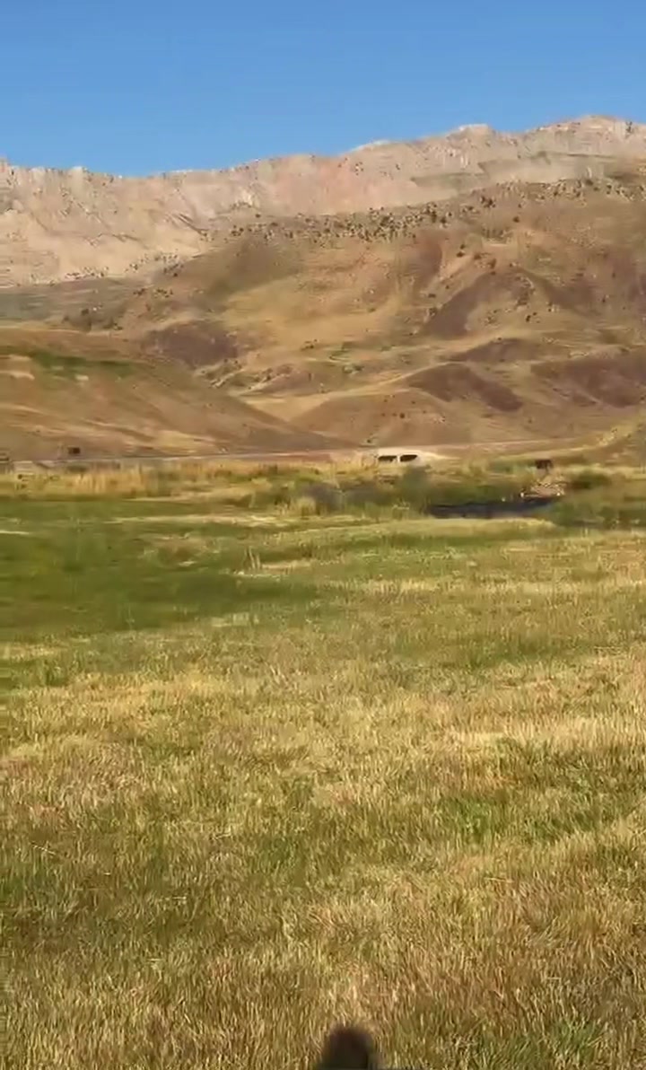 @ŞİYAR ✪