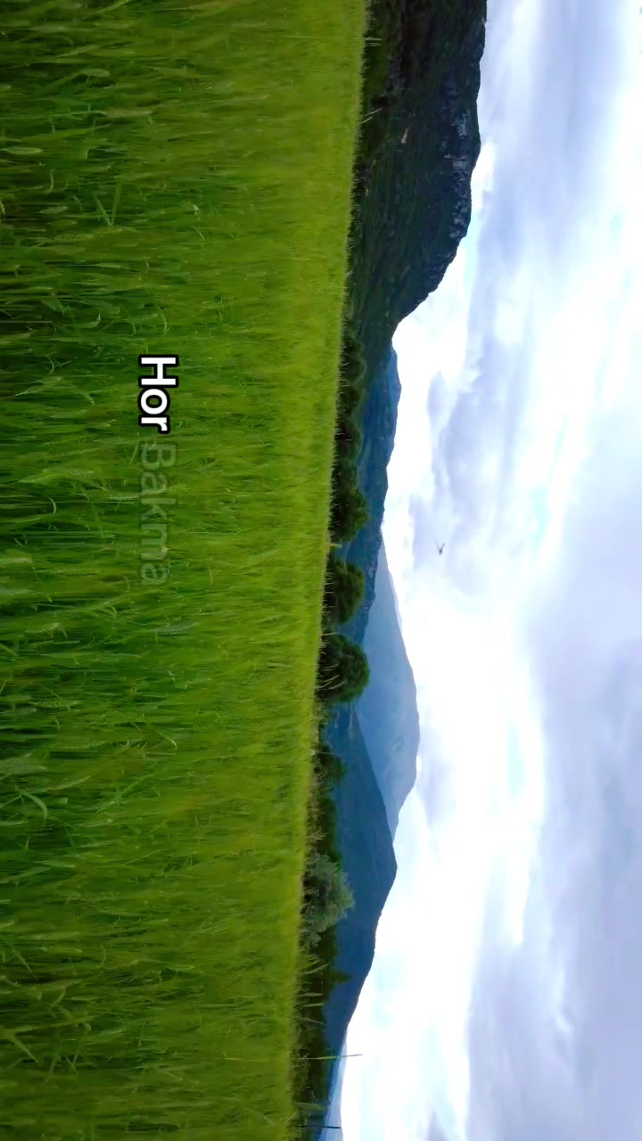 @Drone&ccedil;ekimigebze