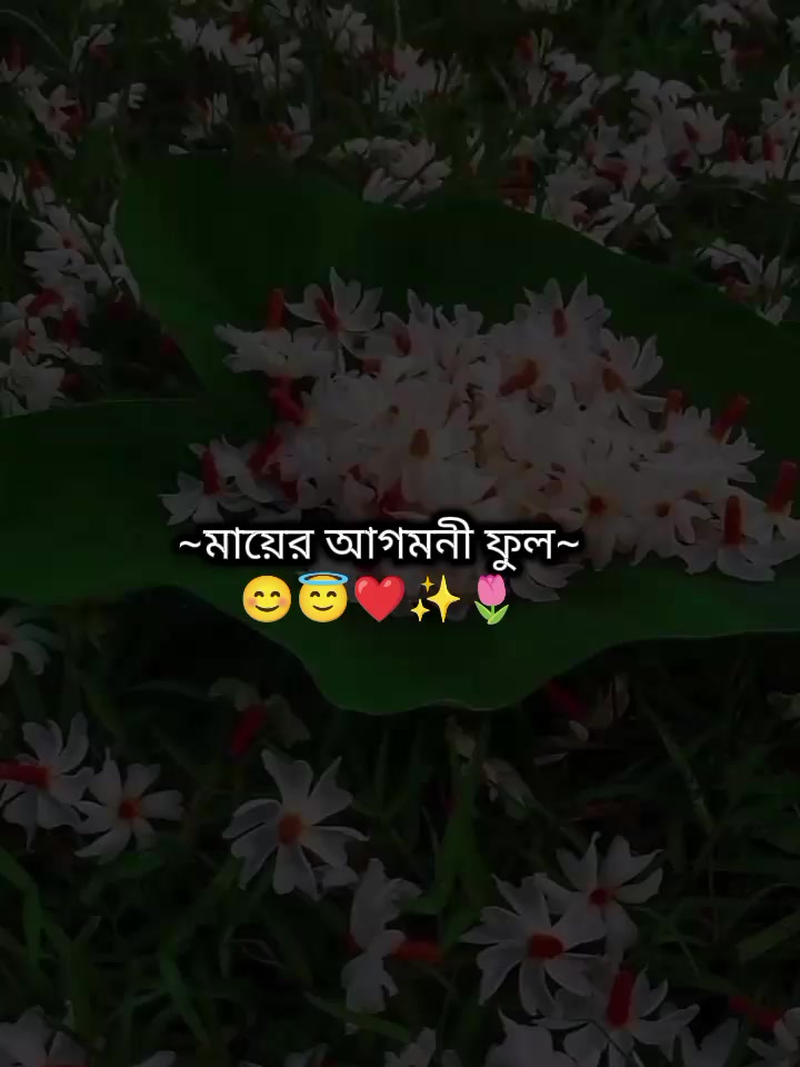 @🌿🦚কৃষ্ণ প্রেমিক🦚🌿